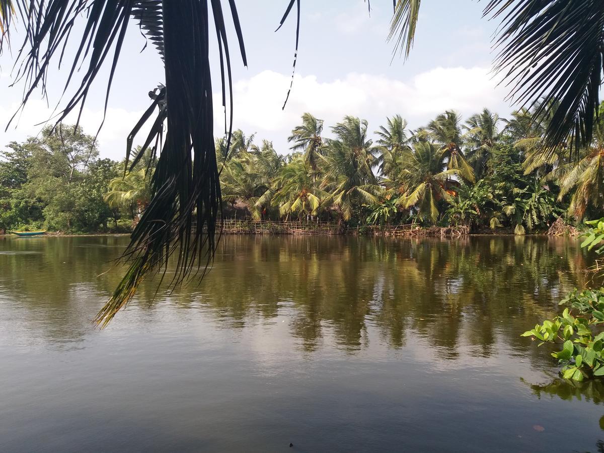 Ishitha Homestay Tangalle Dış mekan fotoğraf