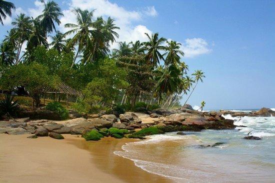 Ishitha Homestay Tangalle Dış mekan fotoğraf