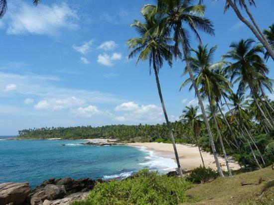 Ishitha Homestay Tangalle Dış mekan fotoğraf