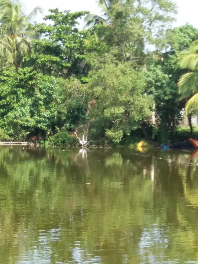 Ishitha Homestay Tangalle Dış mekan fotoğraf